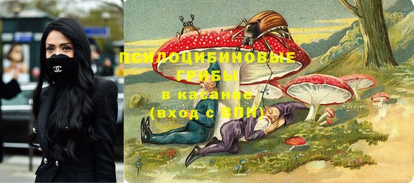 дурь Гусиноозёрск