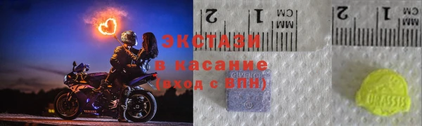 эйфоретик Гусь-Хрустальный