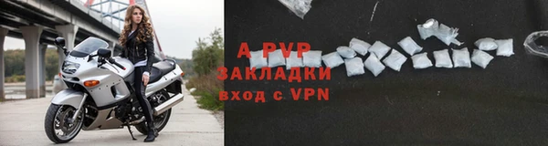 стаф Вяземский