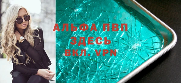стаф Вяземский