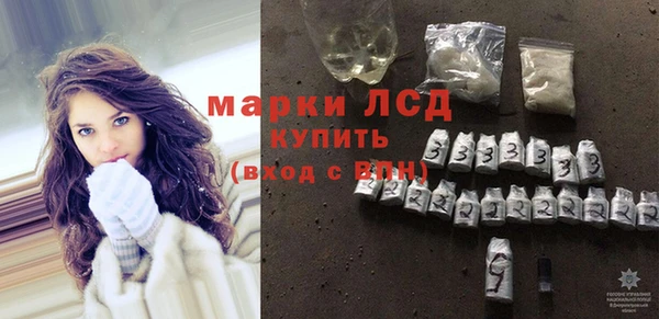 стаф Вяземский