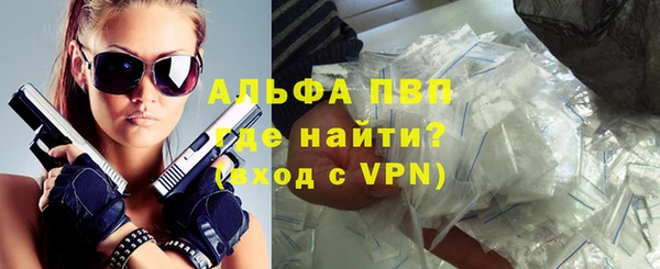 стаф Вяземский