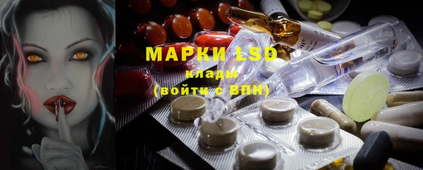 стаф Вяземский