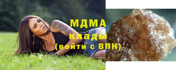 эйфоретик Гусь-Хрустальный