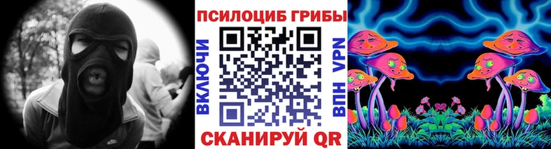 Купить где  Кувшиново  Псилоцибиновые грибы Psilocybine cubensis 