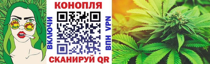 Купить закладки  Кувшиново  Шишки марихуана Ganja 